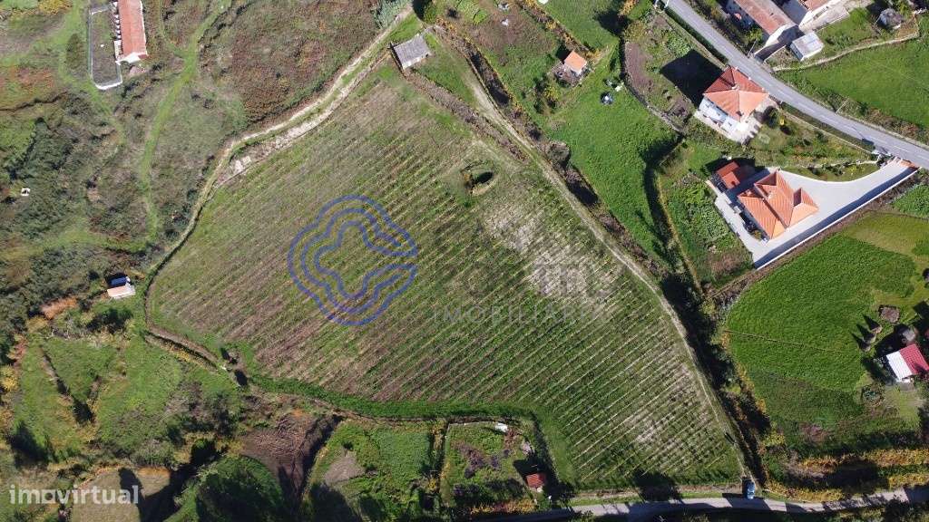 Quinta Agrícola - Gove - Baião - Grande imagem: 4/18