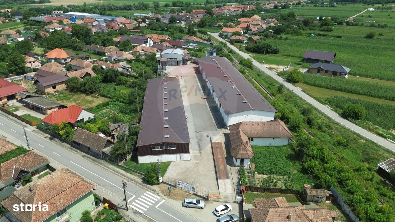 Spațiu industrial de vânzare în Sângeorgiu de Pădure, județul Mureș - Imagine principală: 2/20