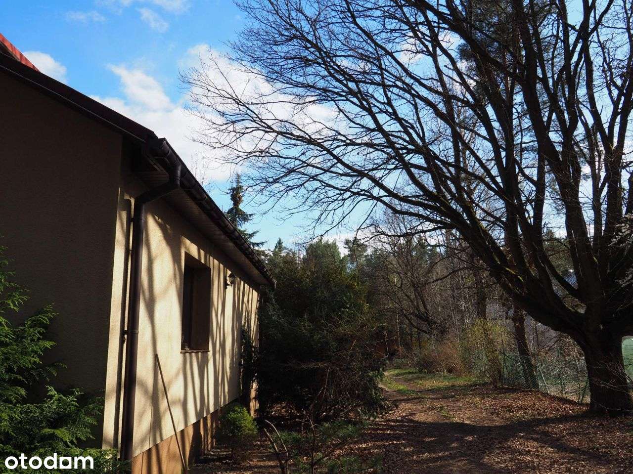 Dom położony na dużej zalesionej działce. - Pełny obrazek: 4/15