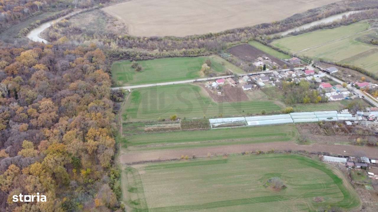 Teren situat langa Padure l Balta Neagra - Imagine principală: 2/8