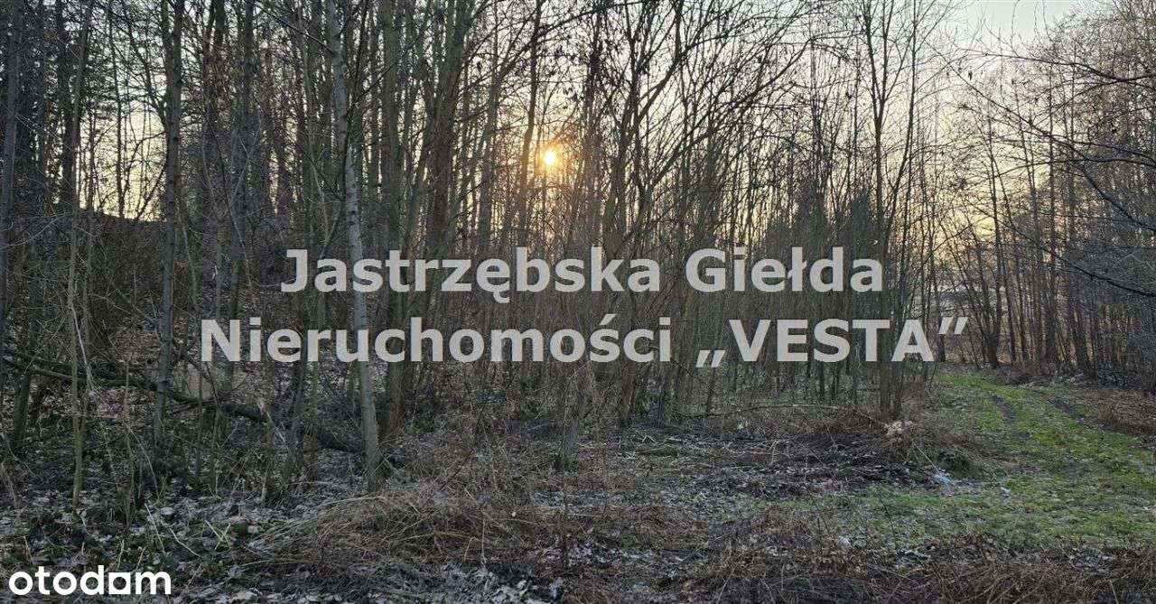 Działka w Golasowicach - Pełny obrazek: 4/5