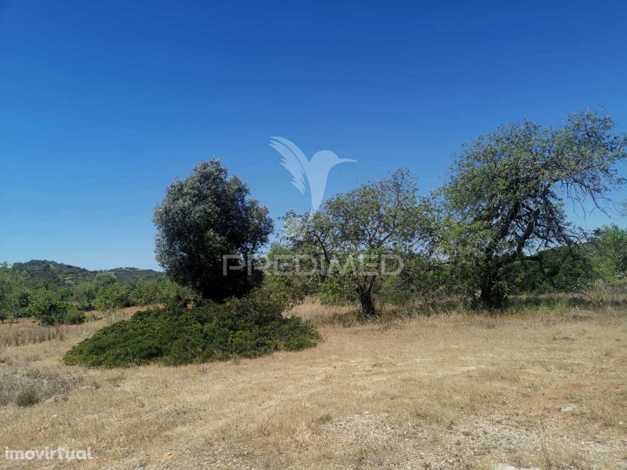 Terreno Rustico com 10742m2