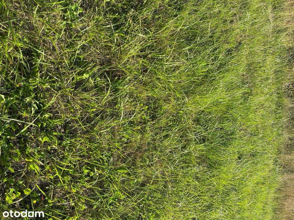 Mielno/Mielenko Nowe Działki od 300 do 5000m2-0