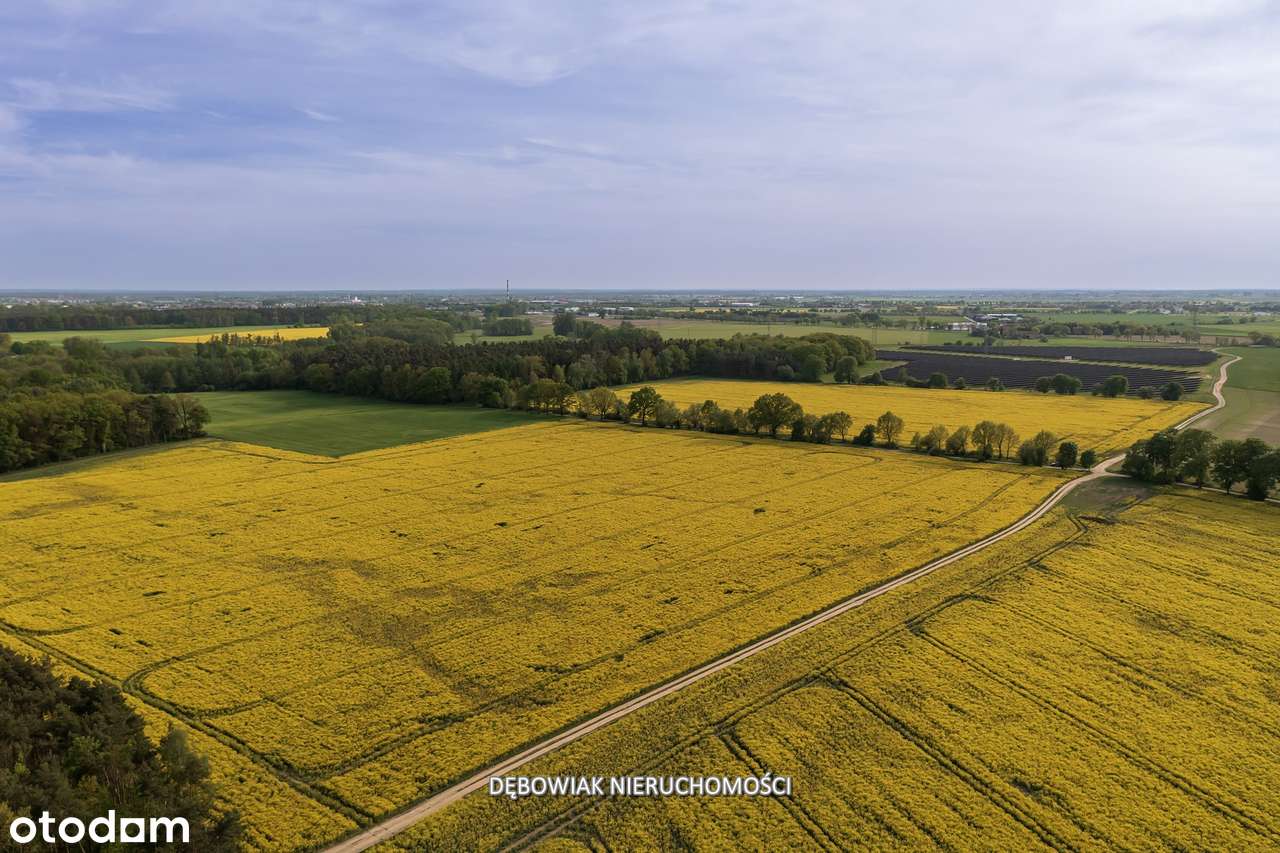II etap sprzedaży / Atrakcyjne nowe osiedle w Gronówku / blisko Leszna-3