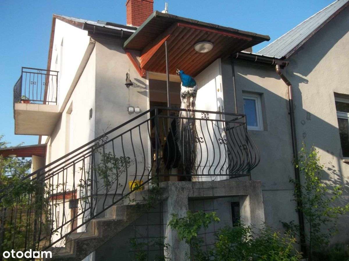 Nieruchomość z dostępem do jeziora - Pełny obrazek: 5/20