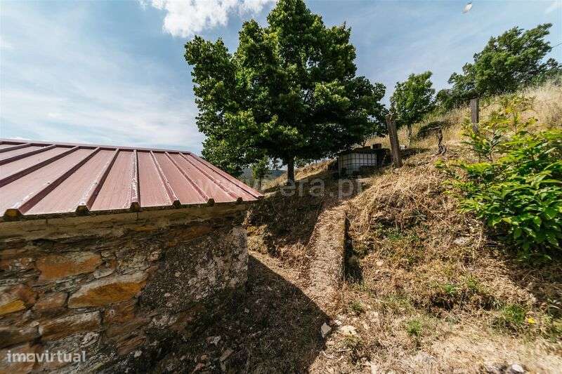 Quinta Estúdio / Covilhã, Serra da Estrela - Grande imagem: 4/11