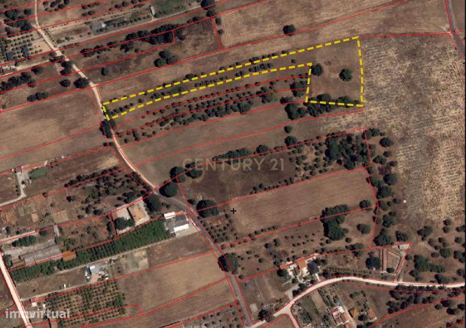 Quinta do Anjo - Terreno Rústico com 10 000m2 - Grande imagem: 5/6