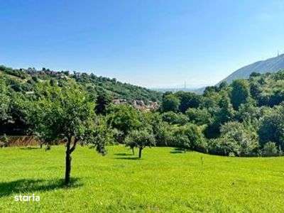 TEREN cu Priveliste, in Schei - Imagine principală: 4/6