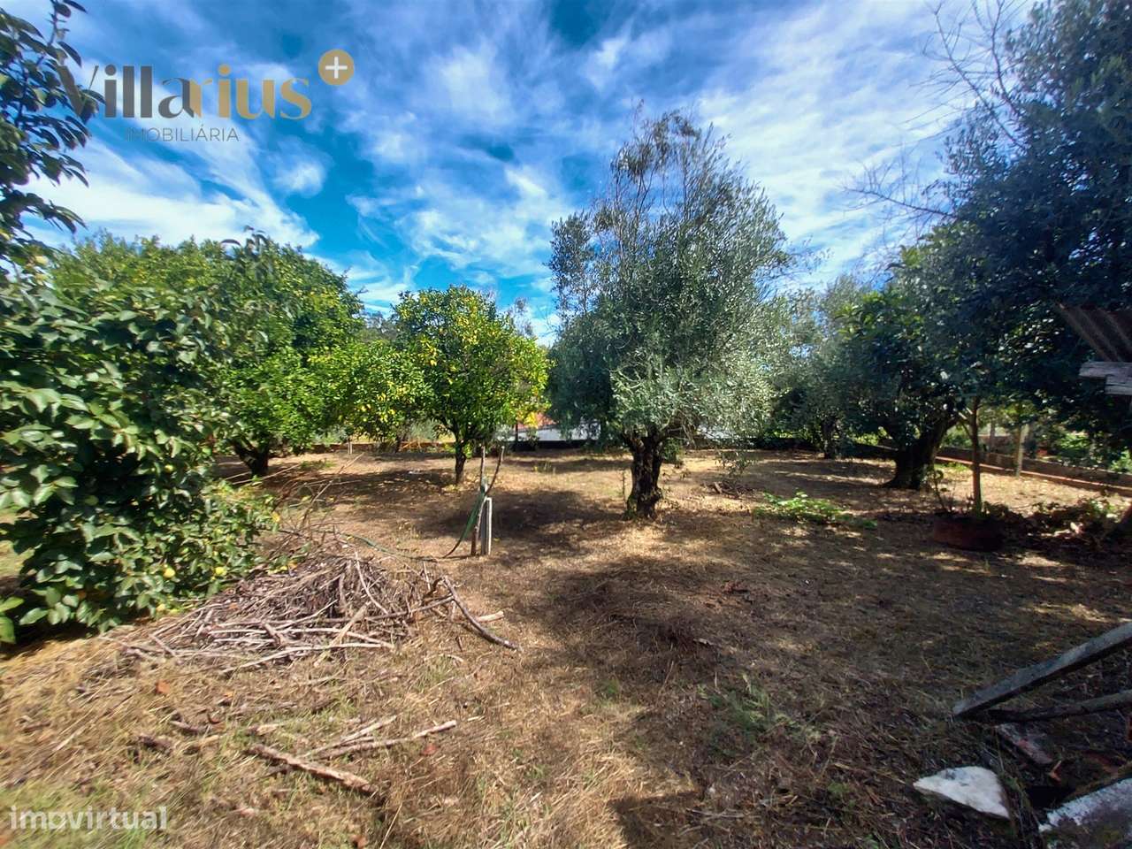 Moradia T3+1 à Venda em Tomar – Espaço e Natureza-39