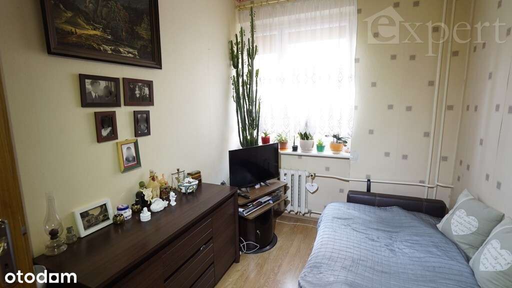 2 pokoje na parterze, spokojna, zielona okolica-1