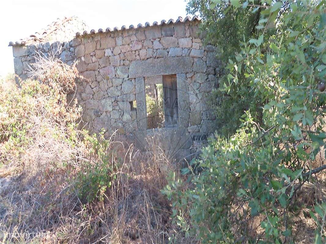 Quinta  para venda-49