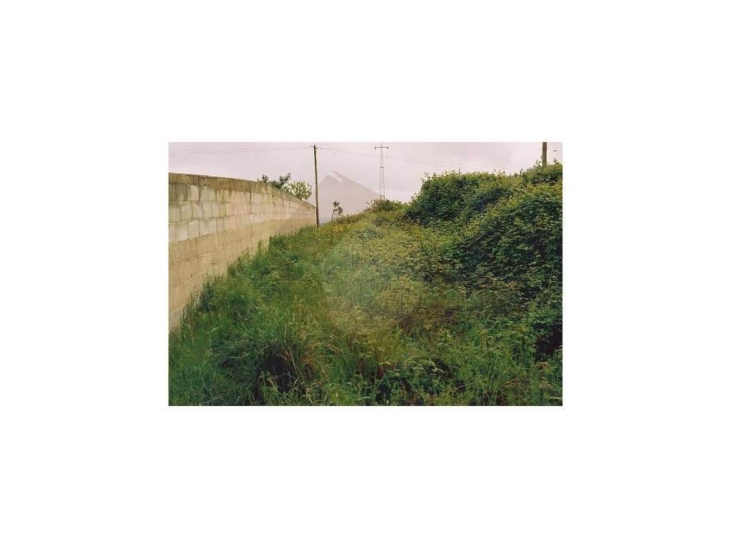 TERRENO INDUSTRIAL - SANTO TRISO - Grande imagem: 3/3