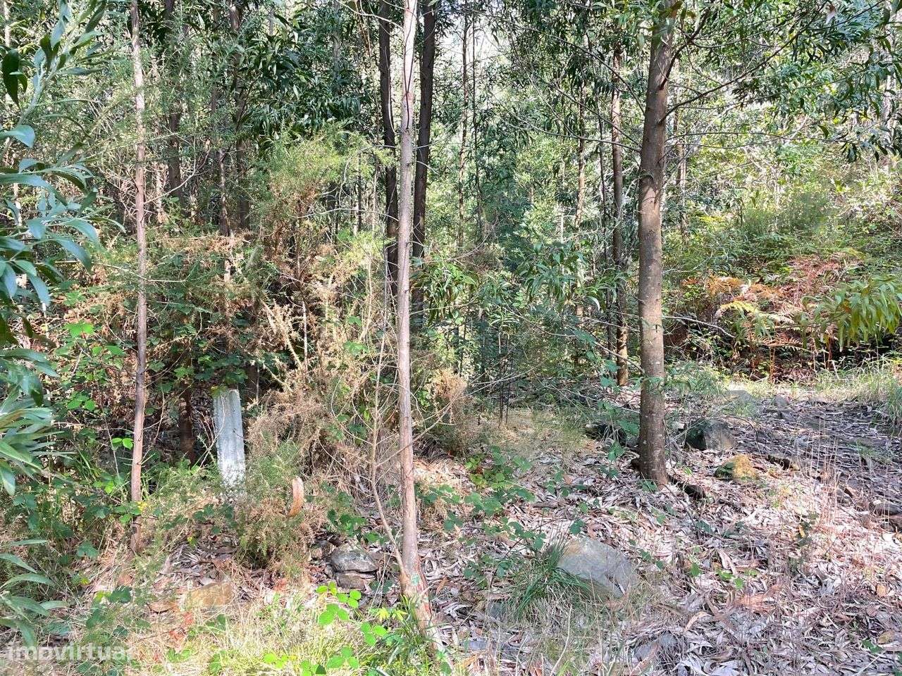 Terreno Localizado em Varziela - 75 000m2-6