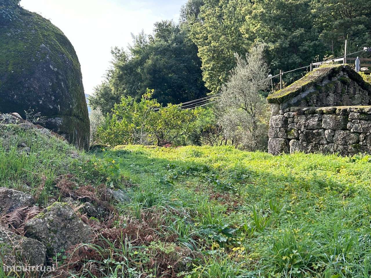 Terreno para construção, com ruína, em Bouro Santa Marta, Amares - Grande imagem: 4/34