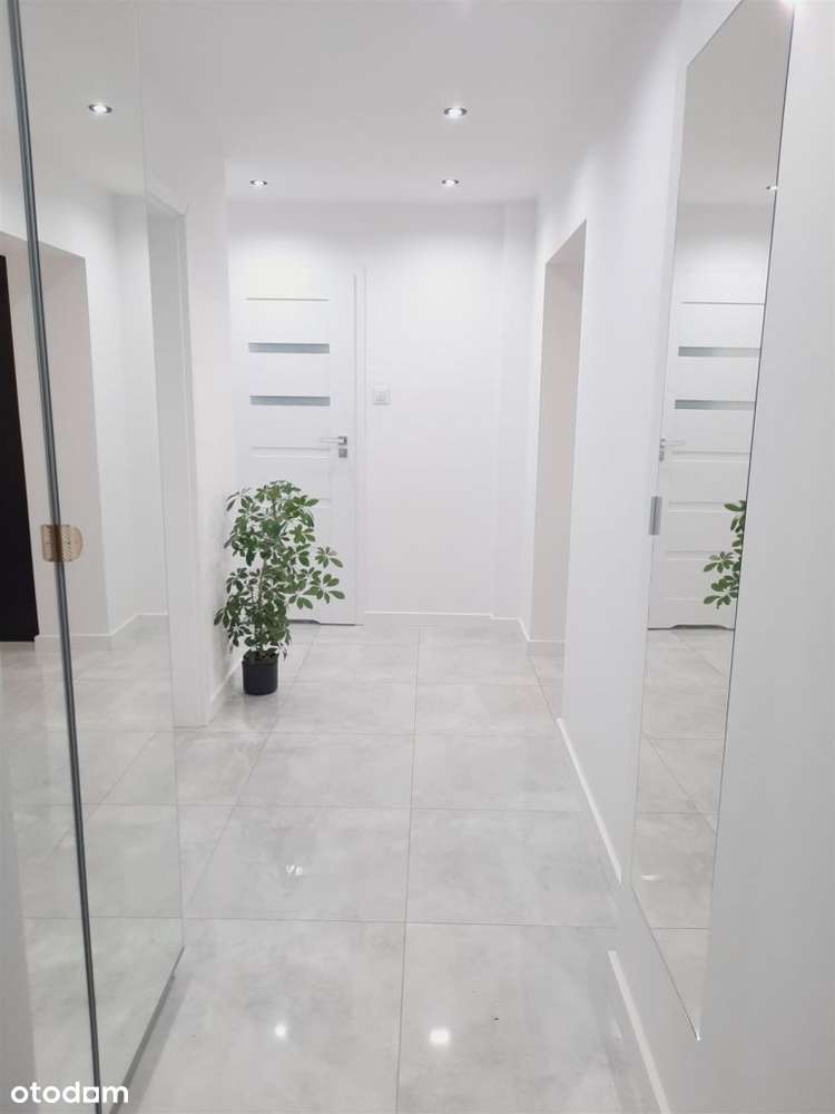 Wys.standard*3 pok*Wołodyjowskiego*Ip*własność*-14