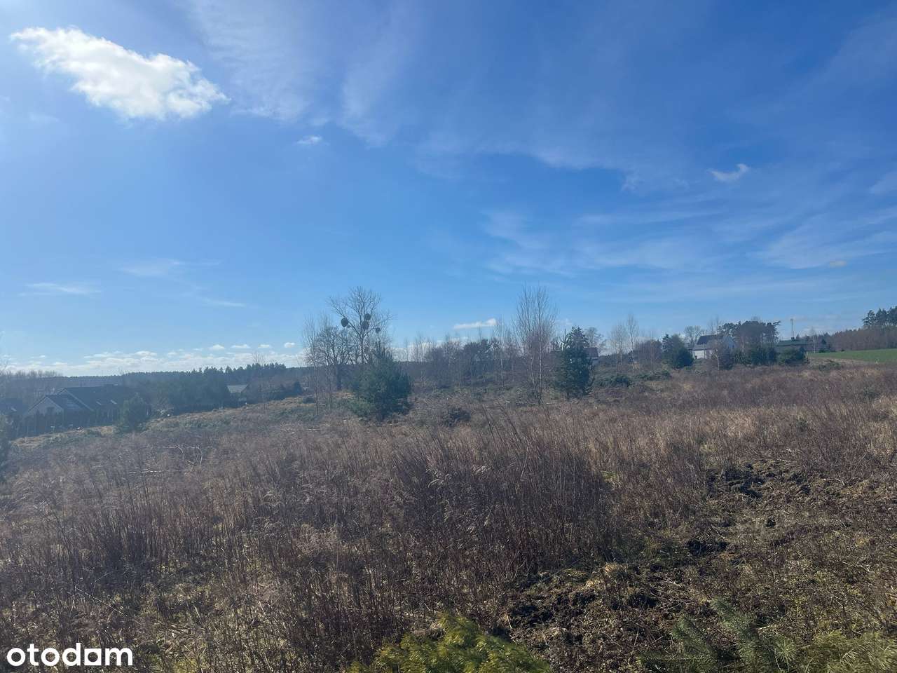 Działka budowlana 95,00 zł/m2 Starogard Gdański - Kolincz - Pełny obrazek: 4/7