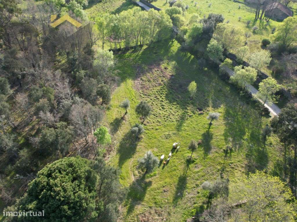Refúgio Natural em Aldeia de Águas - Penamacor - Grande imagem: 3/7