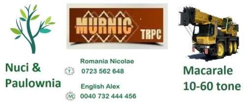 Murnic TRPC logo