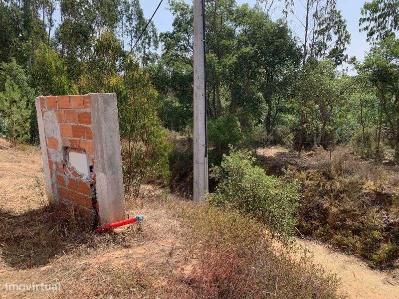 Terreno misto com 11460m2 e casa para recuperar - Salir de Matos - Grande imagem: 5/10