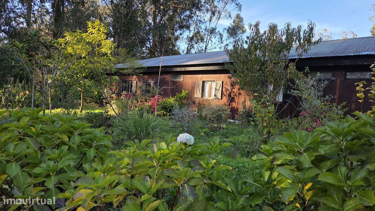 Quinta Equestre & Boutique Retreat - Grande imagem: 4/46