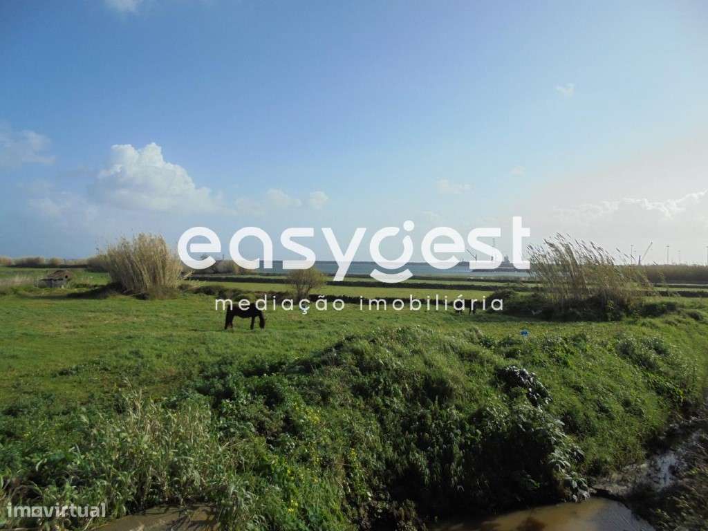 Terreno no Belo Jardim - Praia da Vitoria 5 Alqueires - Boa vista - Grande imagem: 2/7