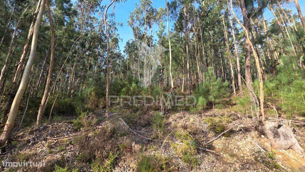 Oportunidade - Terreno Urbano com 842 m² – Santa Eufémia, Leiria - Grande imagem: 2/22