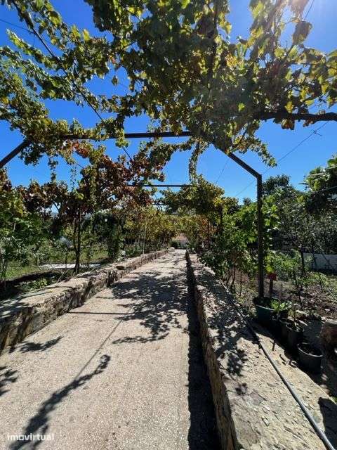 Excelente Moradia c/Piscina, Ringue desportivo, Garagem-18