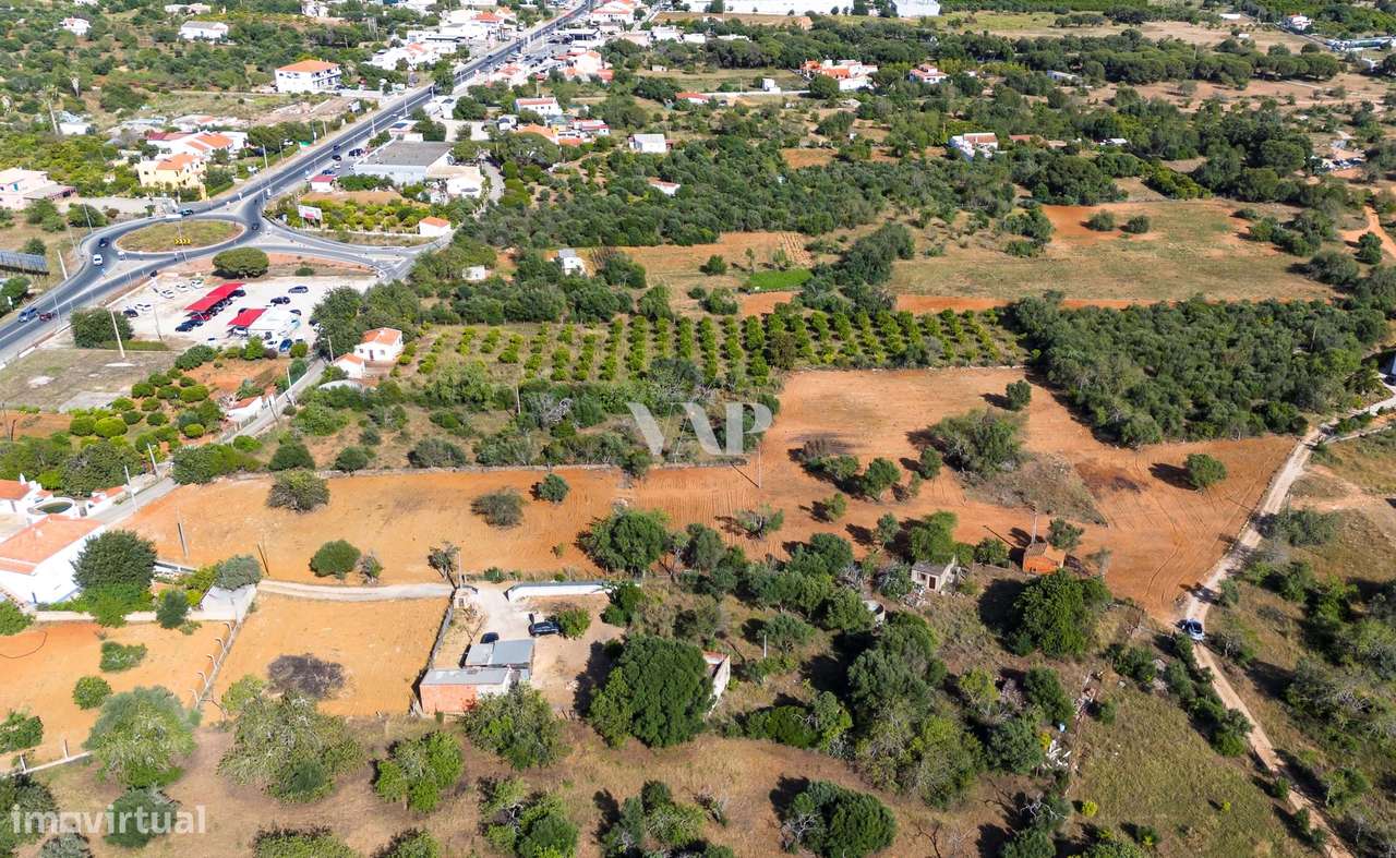 Terreno rústico para arrendamento - Grande imagem: 4/5