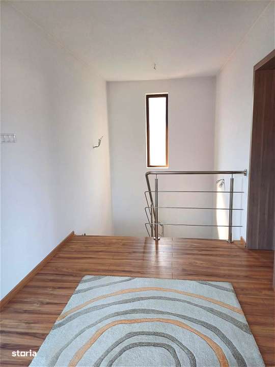 DOUA CASE DE VANZARE LA TALMACIU-12