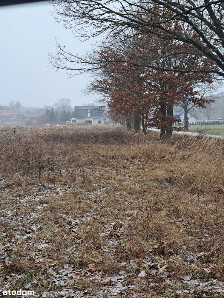 Niemstów 10ar - Pełny obrazek: 5/6