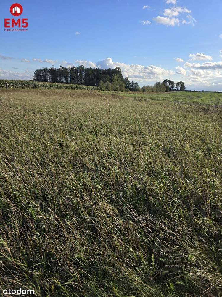 Działak budowlana blisko Narwi.-2