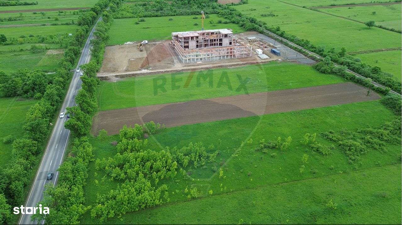 Teren 4,000mp Cicarlau / Strada Principala intravilan - Imagine principală: 2/4