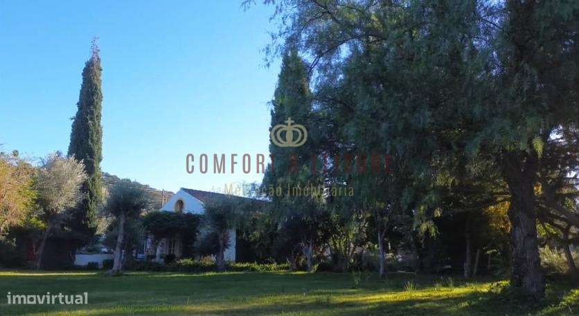 Quinta T5 Venda em Évora Monte (Santa Maria),Estremoz-53