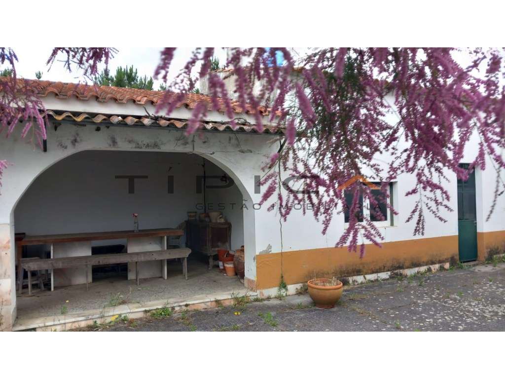 Quintinha com terreno agrícola de 2250 m2-0