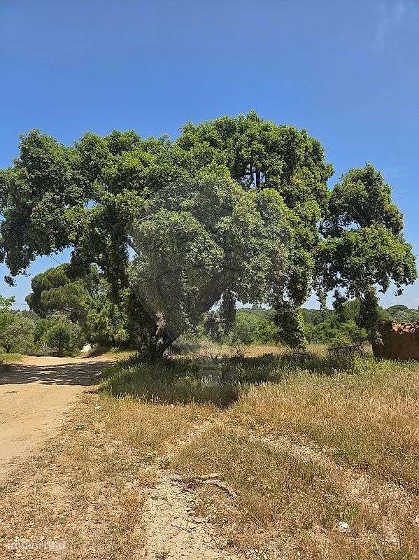 Quinta  para venda-6