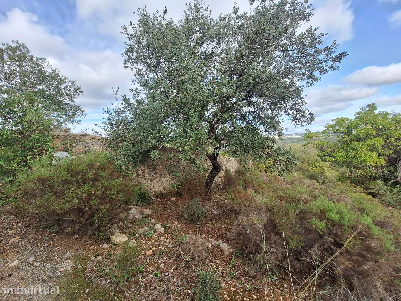 Terreno no Ruína no concelho de Faro - Grande imagem: 3/15