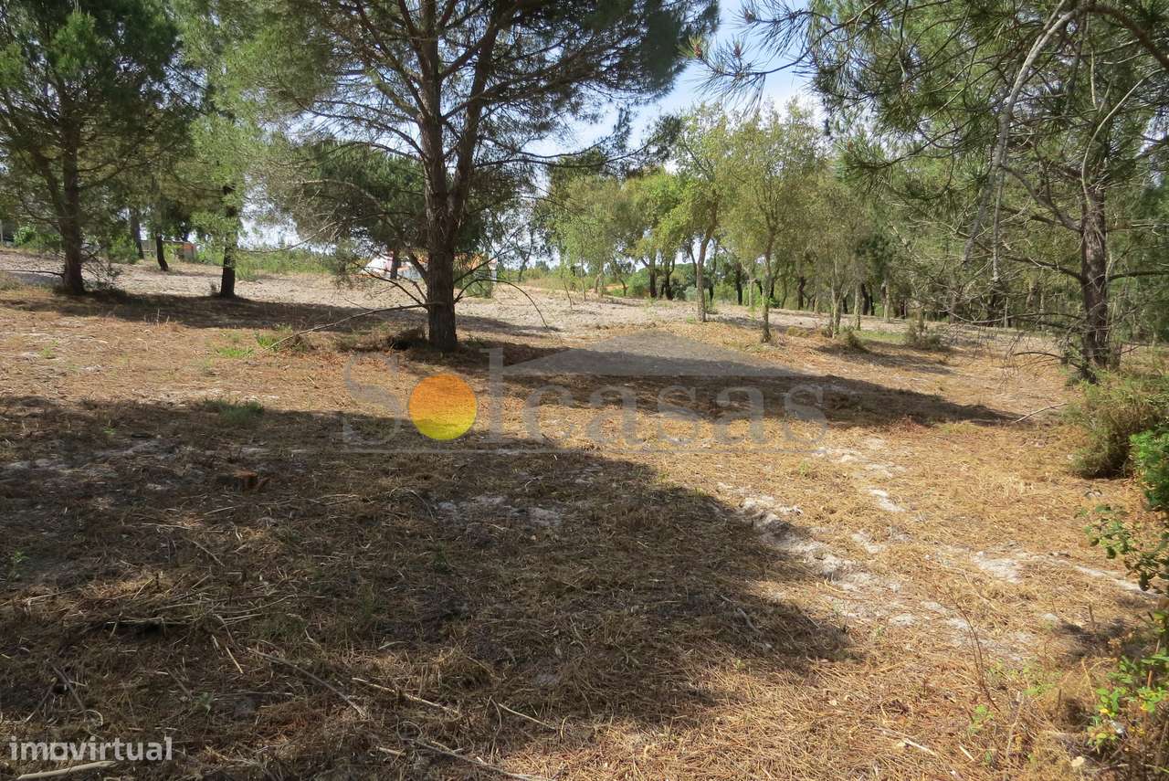 Terreno rustico em Melides - Grande imagem: 5/18