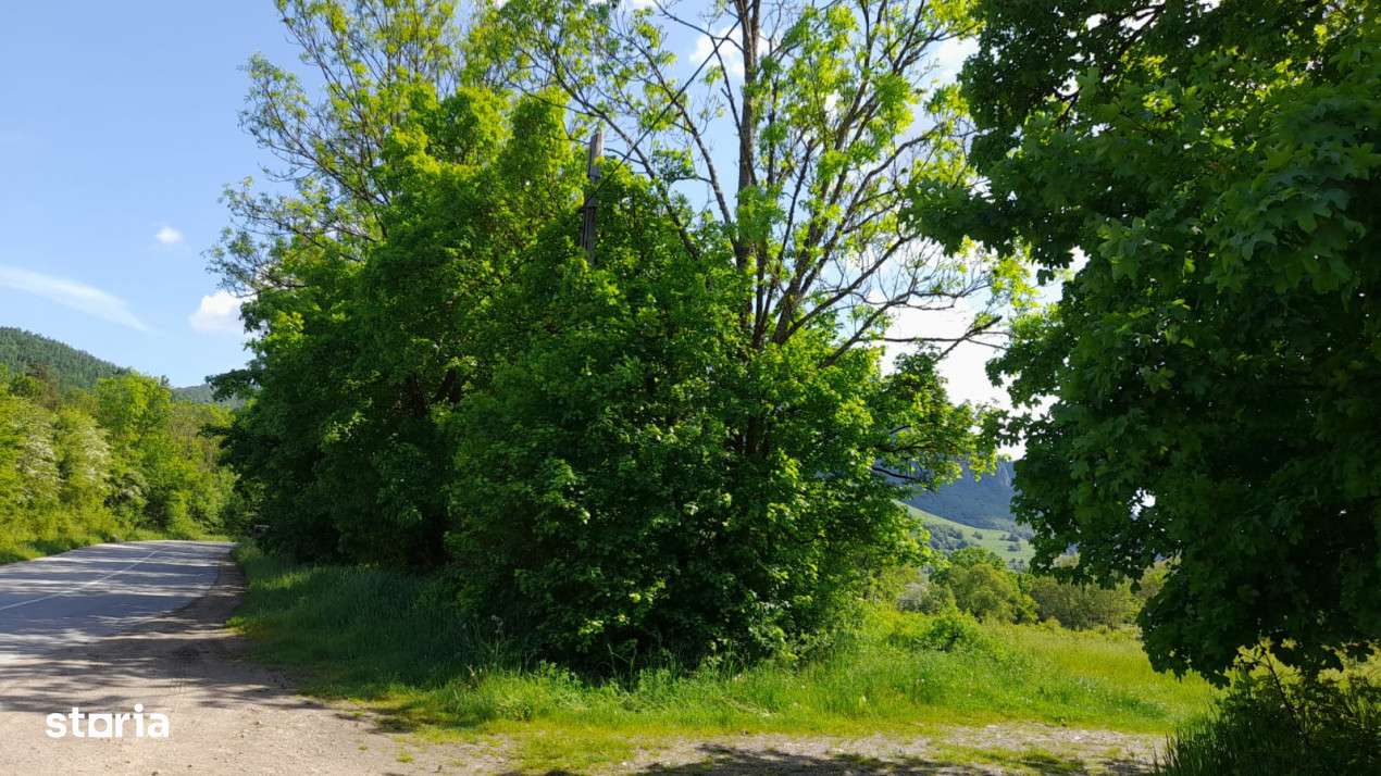 Teren intravilan, in Rimetea, suprafete intre  mp - Imagine principală: 5/5