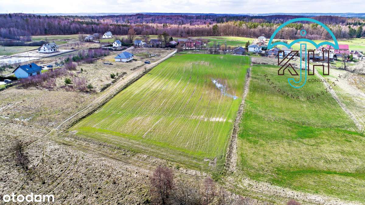 Duża  Działka Pod Twój Dom- Skrzeszewo-7
