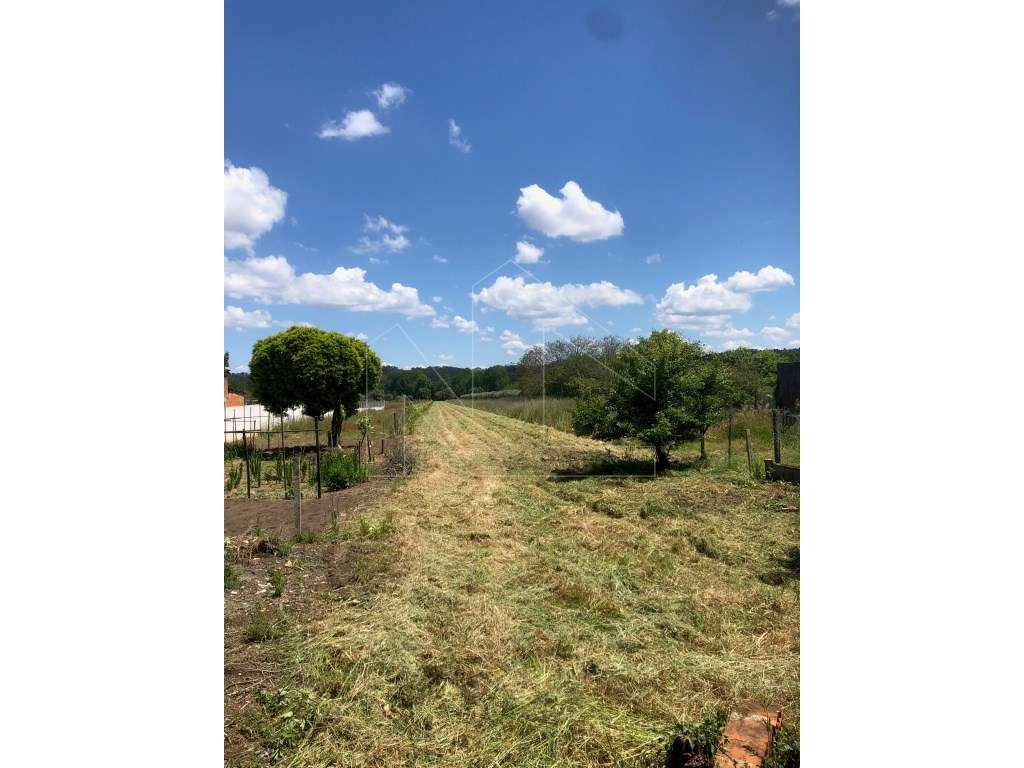 Moradia para Recuperar com Terreno - Fermentelos - Grande imagem: 4/11