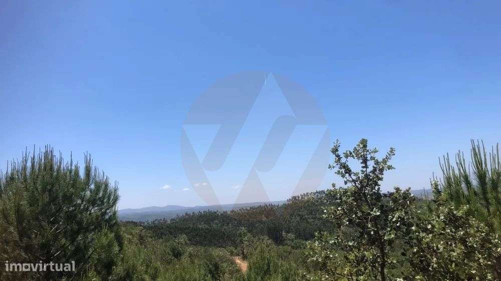 Terreno com potencial - Grande imagem: 5/5