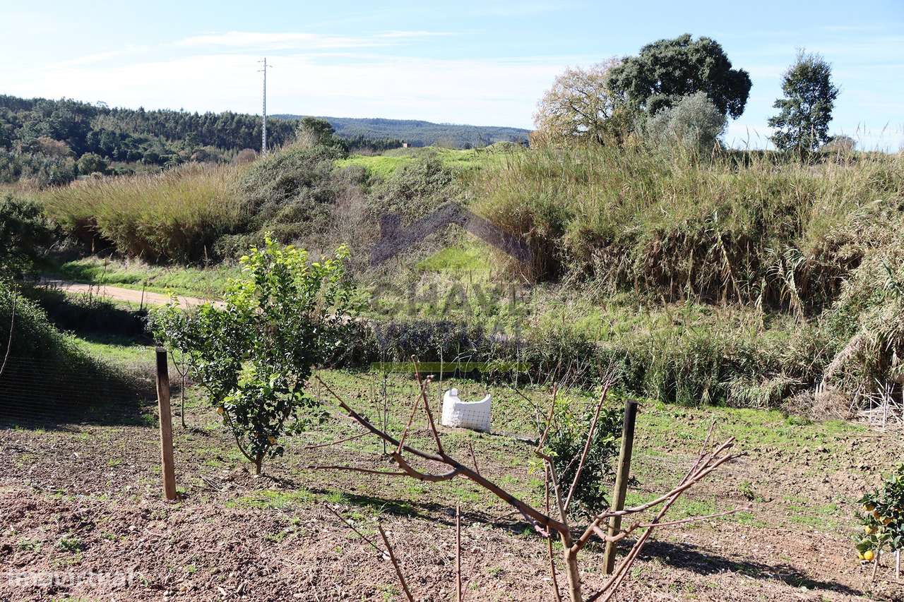 Magnífica Quinta c/ 10.490 m2 Concelho Cadaval-40