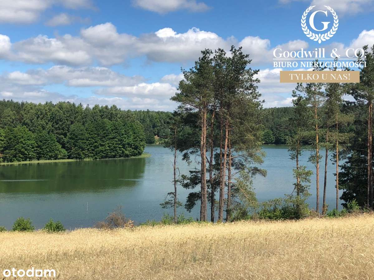 Działka na Kaszubach - Pełny obrazek: 2/5