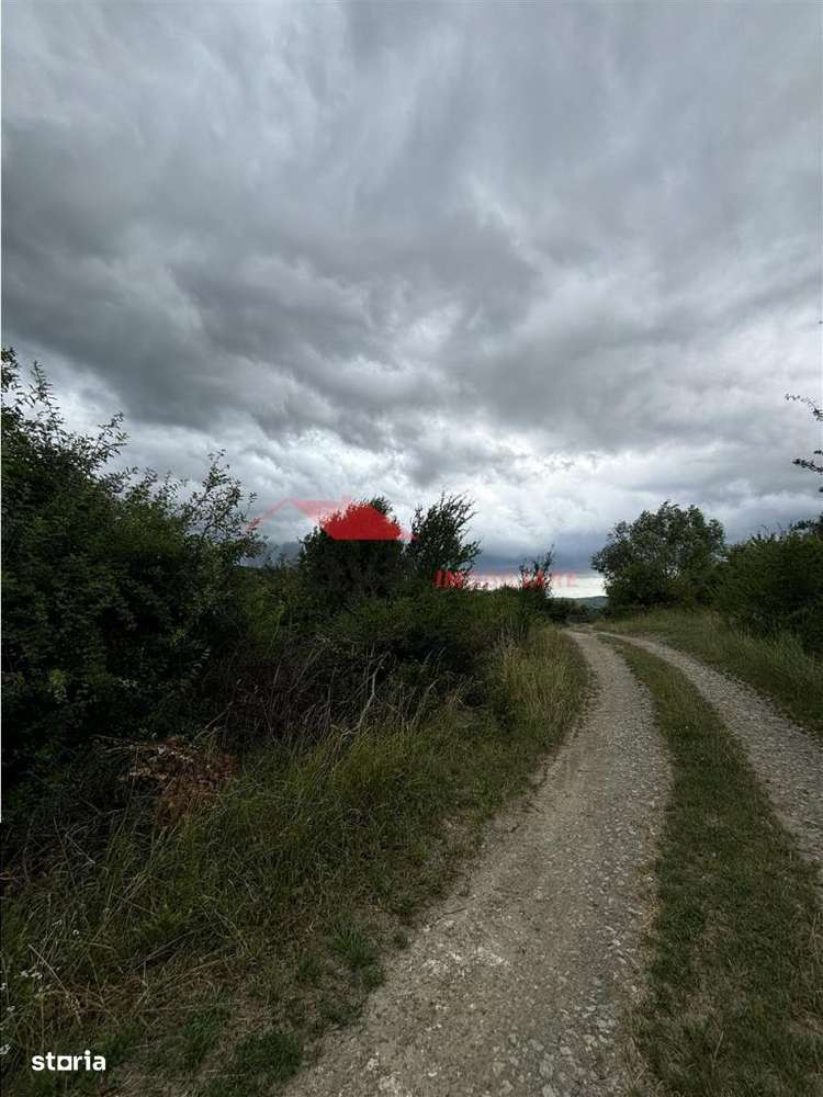 Teren extravilan 1348 mp, Drumul Dumitrei - Imagine principală: 2/5