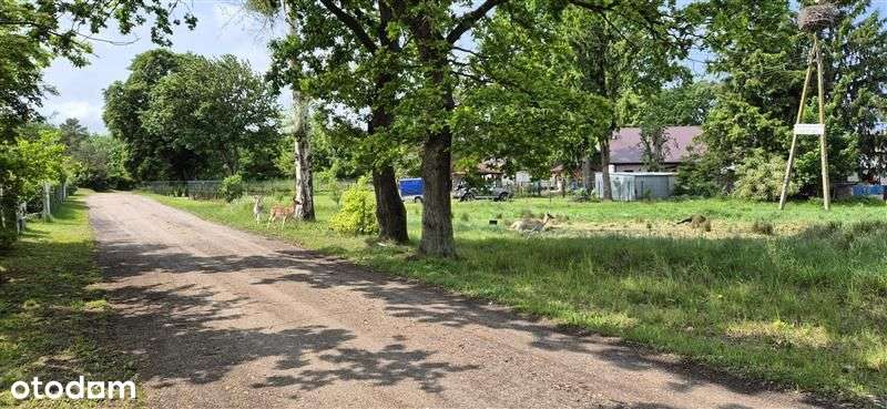 "Dochodowa inwestycja z rezerwacjami na 2026 rok"-3