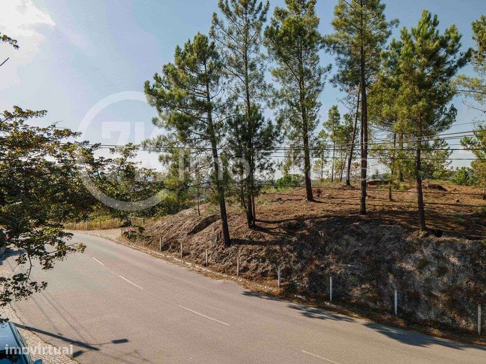 Terreno Urbanizável em Aliviada, Marco de Canaveses - Grande imagem: 3/5