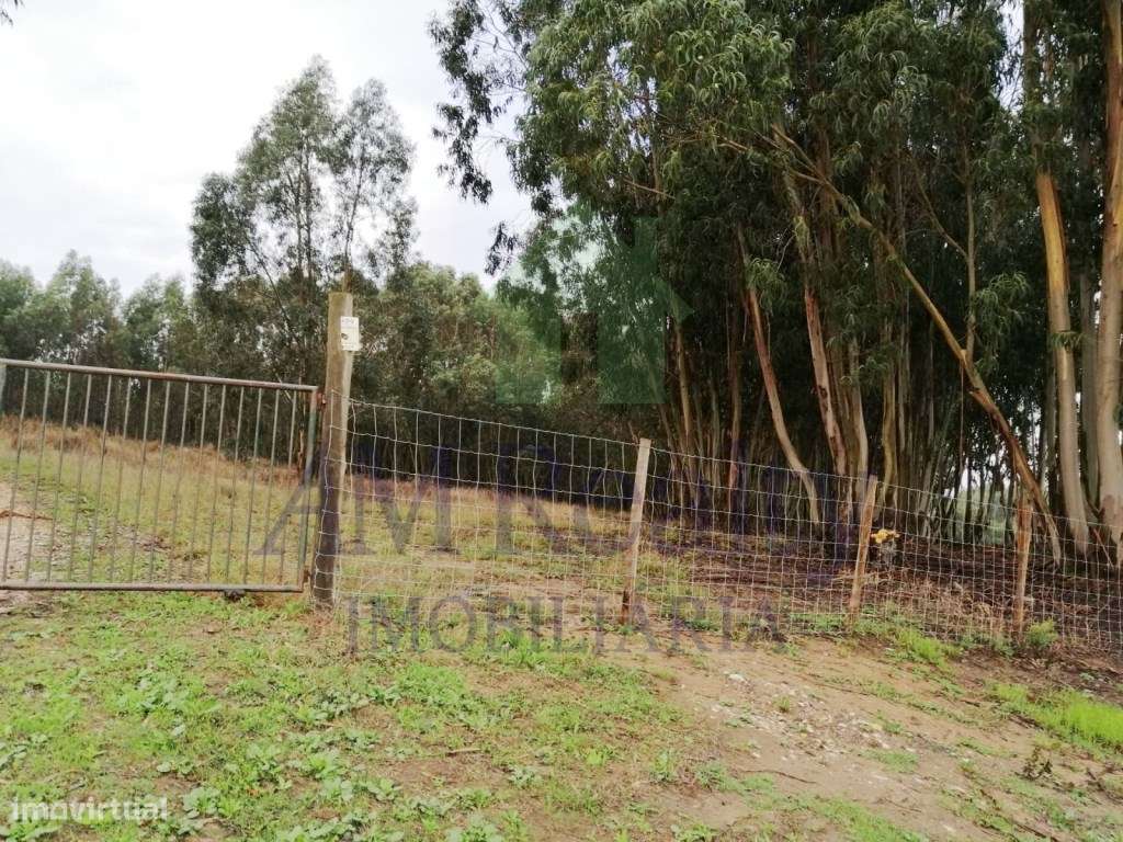 *** RESERVADO *** - Grande imagem: 4/4