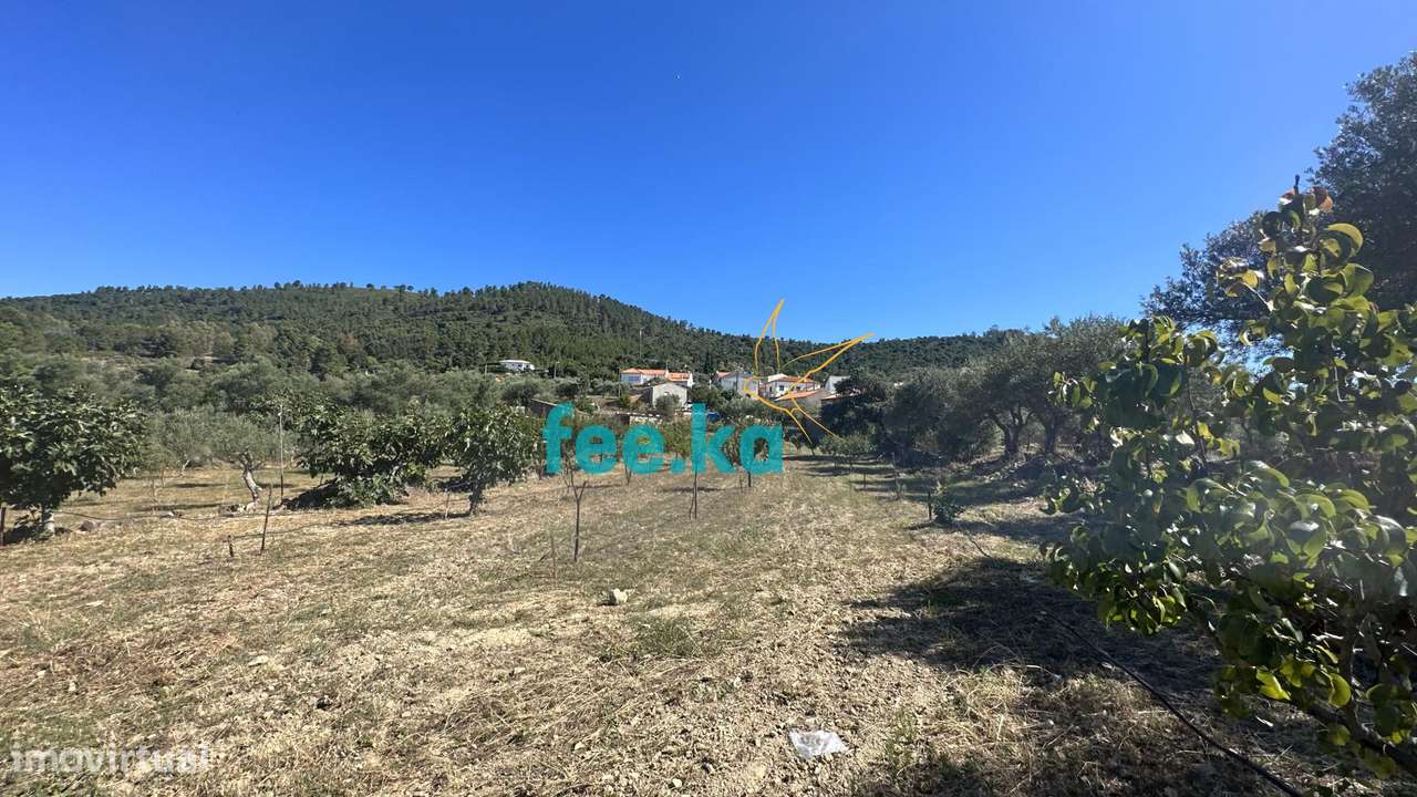 Quintinha em Monfortinho-29