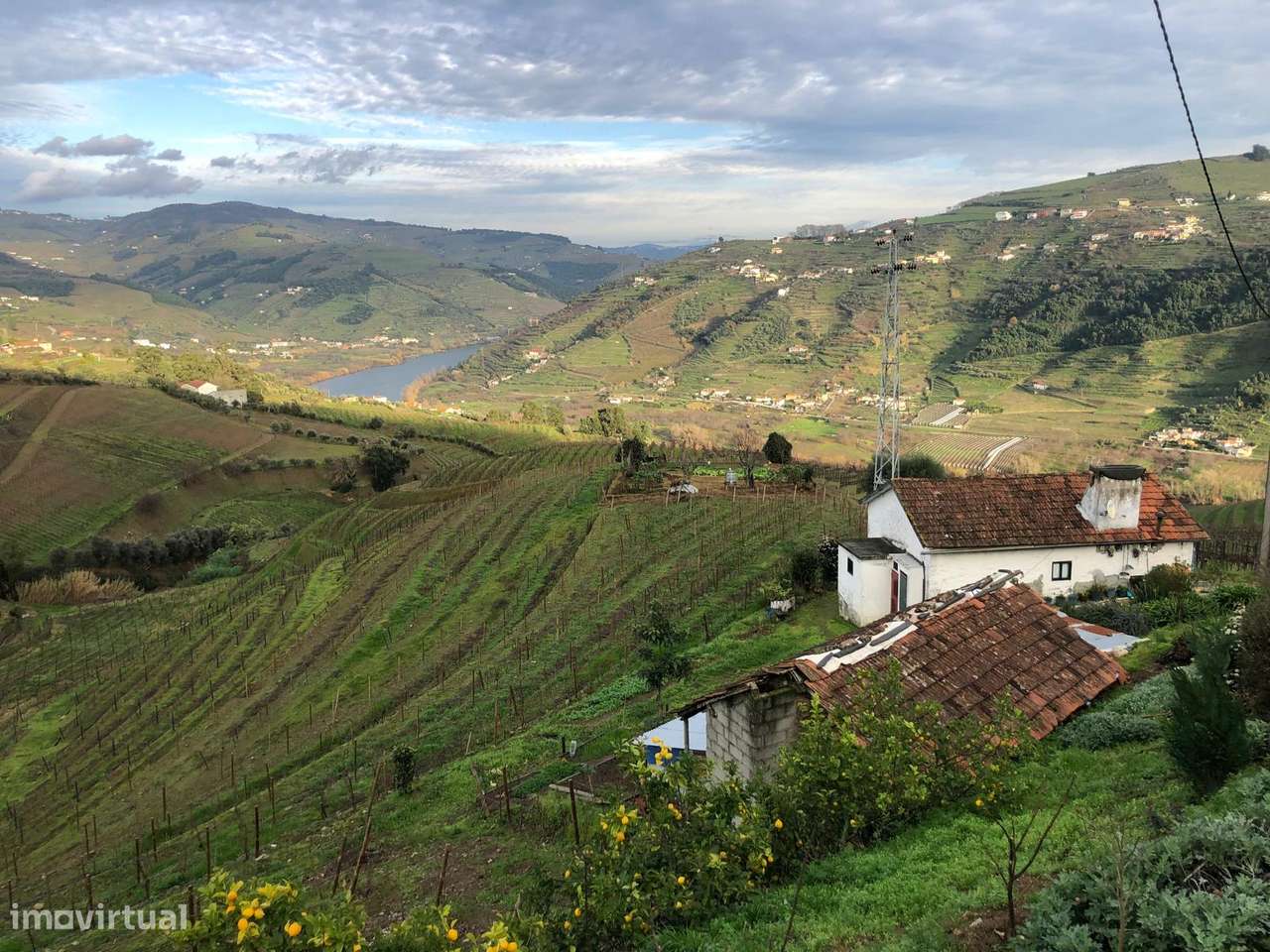 Venda de Quinta - Vistas do rio Douro-1