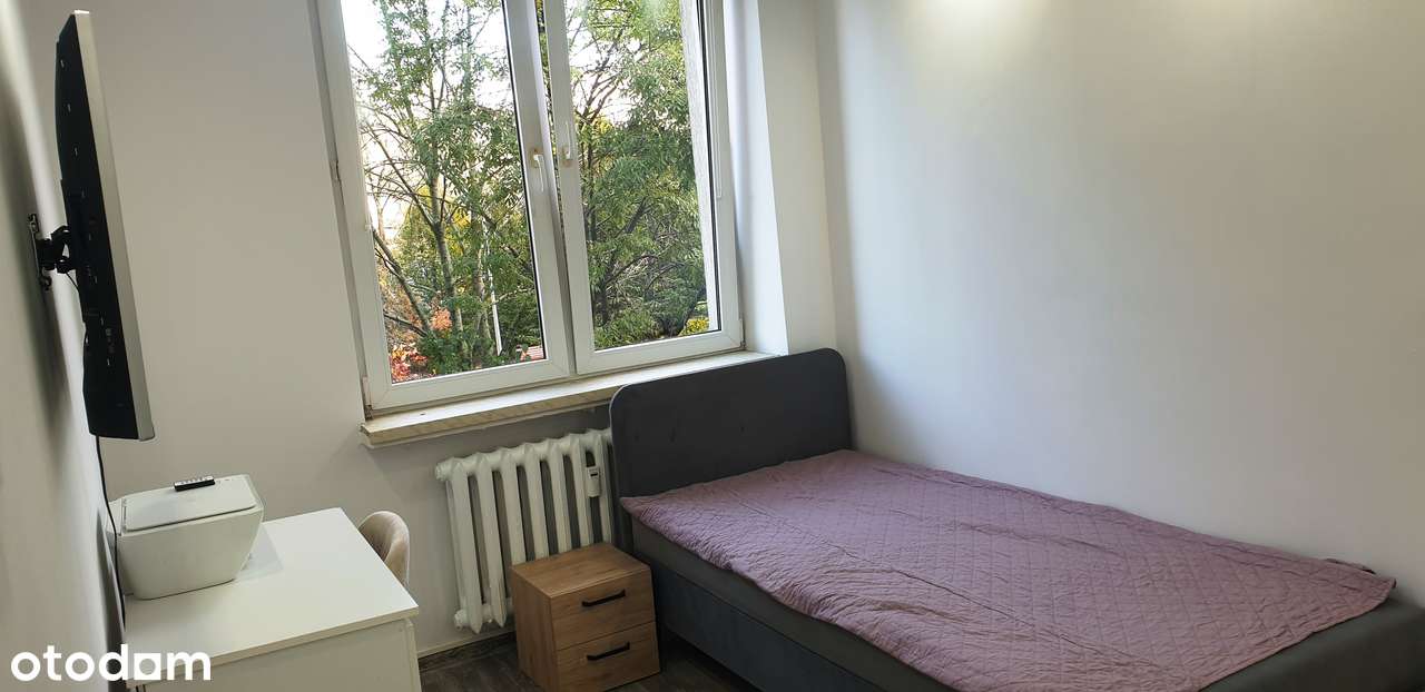 Fajna lokalizacja i widok z okien na zieleń.Tramwaj/bazarek/sklep 2min - Pełny obrazek: 5/17